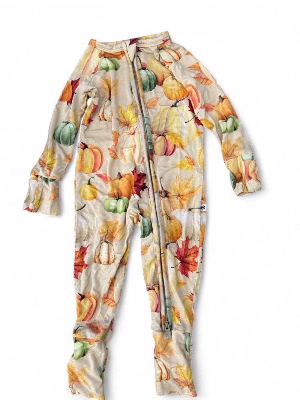 Cozy Cream Kids Pumpkin & Leaf Zip One-Piece Footie